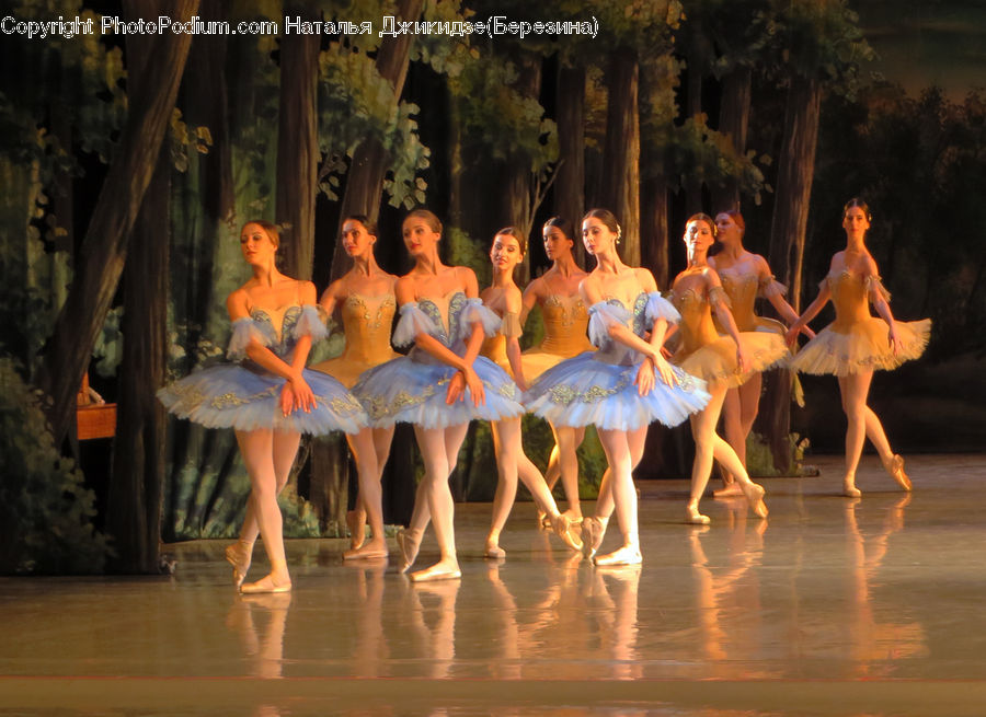 People, Person, Human, Dance, Dance Pose, Ballerina, Ballet
