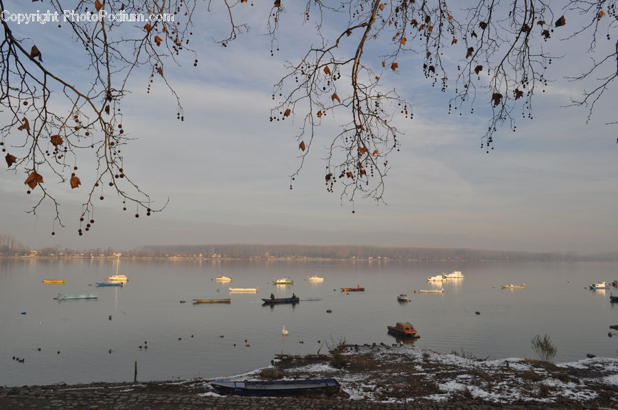 Ice, Outdoors, Snow, Sea, Water, Beach, Coast