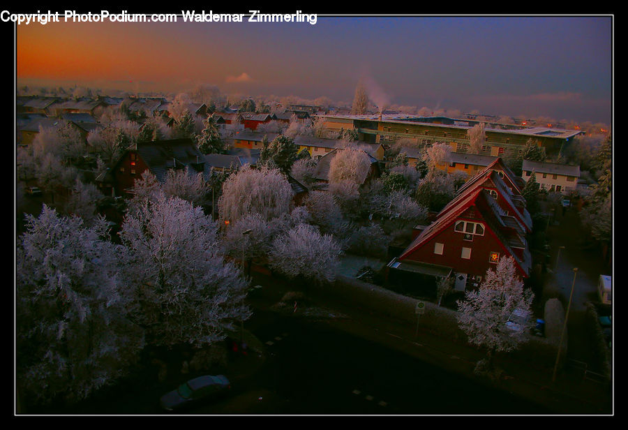 Plant, Potted Plant, Building, Cottage, Housing, Blossom, Cherry Blossom