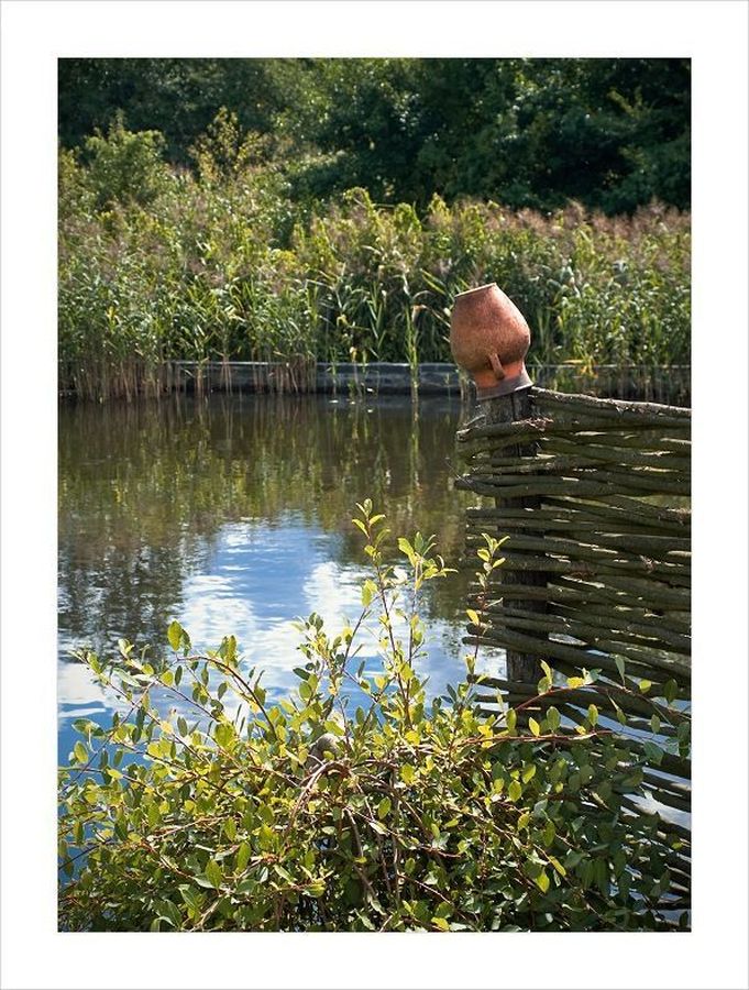 Outdoors, Pond, Water, Flower, Lily, Plant, Pond Lily