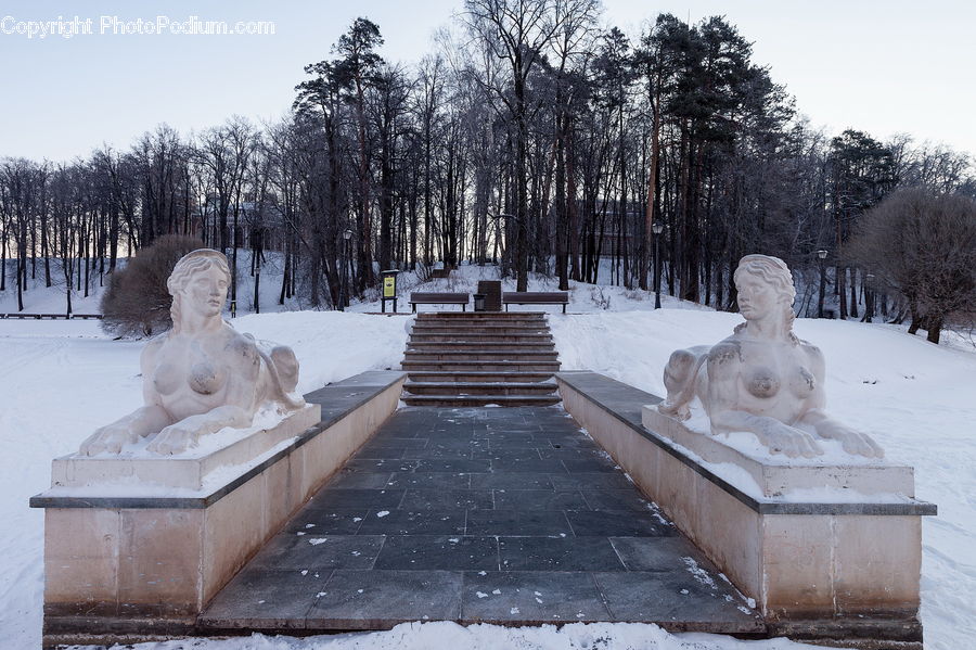 People, Person, Human, Art, Sculpture, Statue, Ice