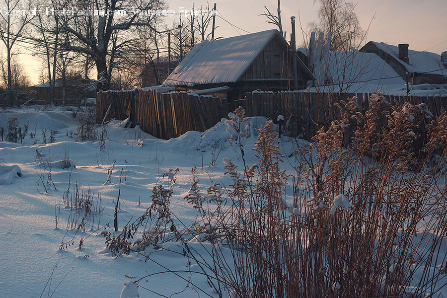Building, Hut, Shelter, Field, Grass, Grassland, Plant