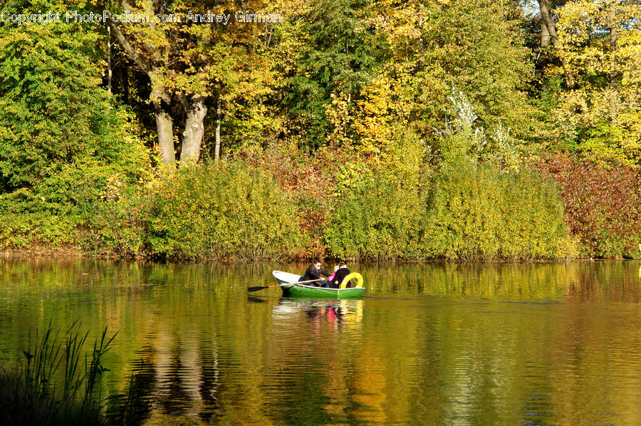 Boat, Canoe, Rowboat, Canal, Outdoors, River, Water