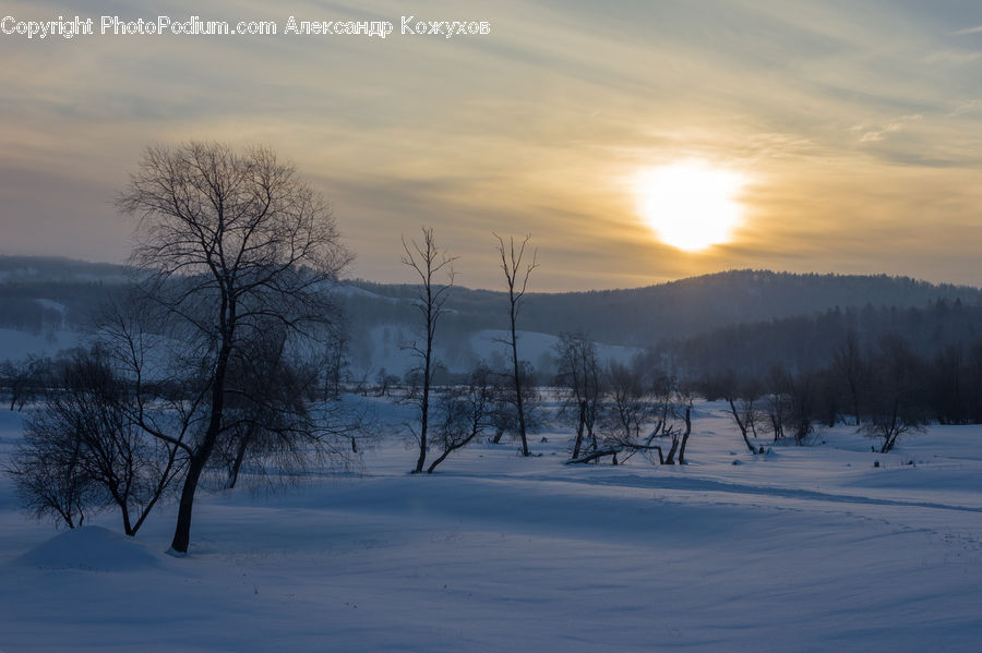 Arctic, Snow, Winter, Dawn, Dusk, Sky, Sunrise