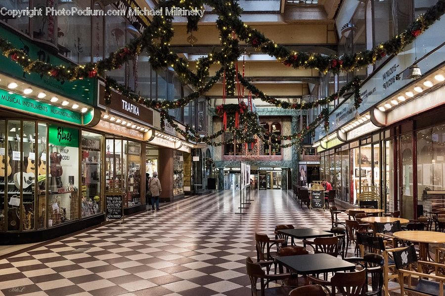 Plant, Potted Plant, Cafe, Cafeteria, Food Court, Furniture, Tree