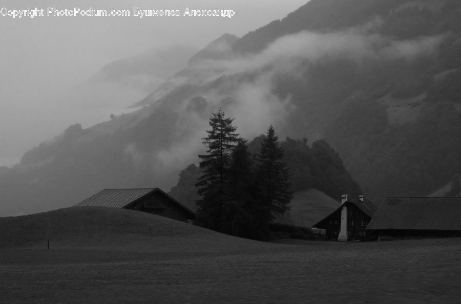 Alps, Crest, Mountain, Peak, Conifer, Fir, Pine