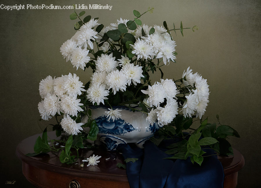 Plant, Potted Plant, Floral Design, Flower, Flower Arrangement, Flower Bouquet, Ikebana