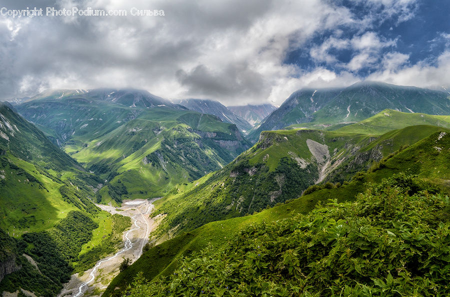 Alps, Crest, Mountain, Peak, Forest, Jungle, Rainforest