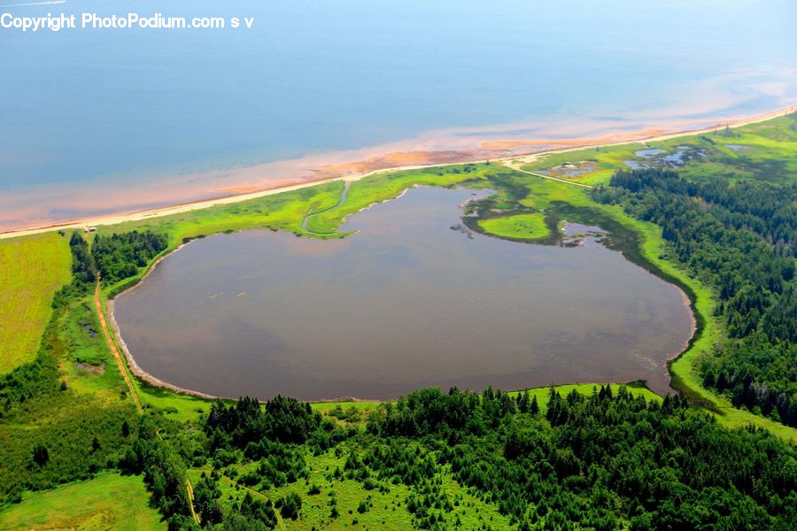 Coast, Land, Peninsula, Sea, Moss, Plant, Landscape