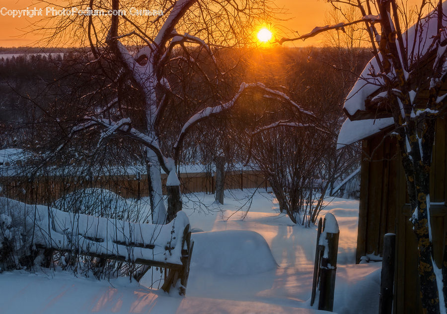 Ice, Outdoors, Snow, Plant, Potted Plant, Bench, Landscape