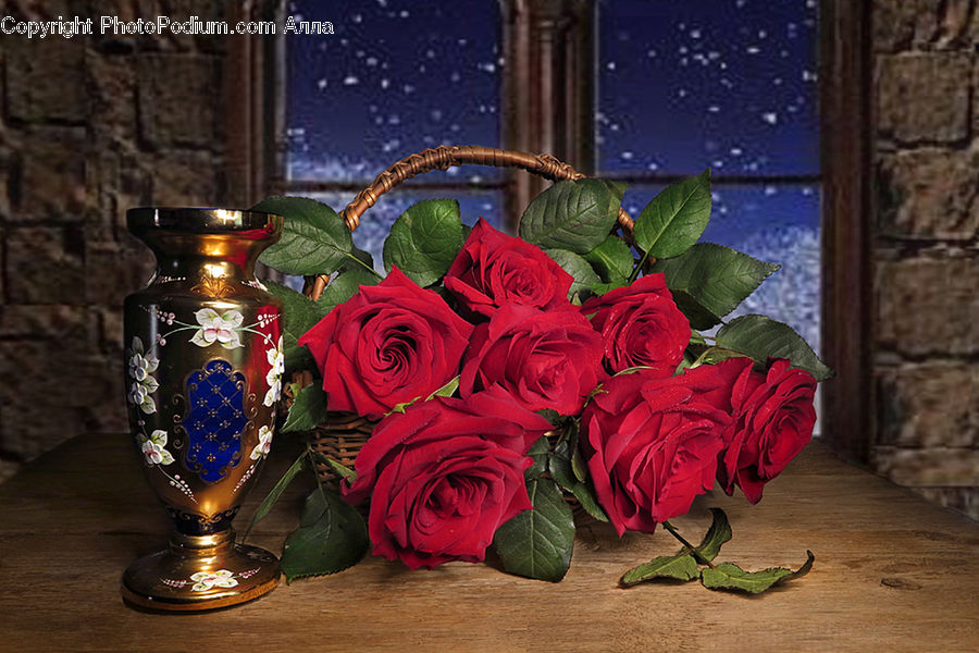 Blossom, Flower, Plant, Rose, Jar, Porcelain, Vase