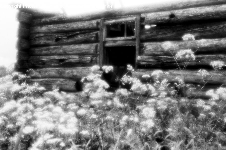Building, Hut, Log Cabin, Shack, Bunker, Countryside, Outdoors