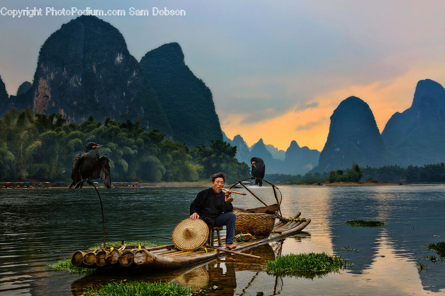 People, Person, Human, Bird, Cormorant, Waterfowl, Boat
