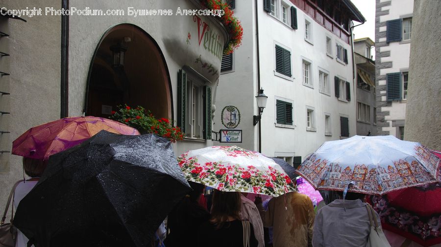 Umbrella, Plant, Potted Plant, Arch, Balcony, Awning, Cobblestone