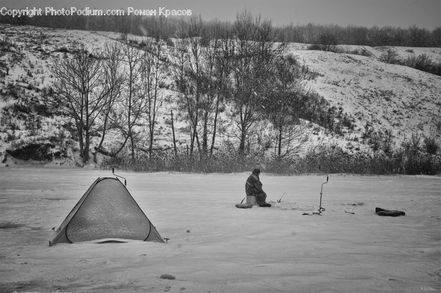 Tent, Outdoors, Forest, Vegetation