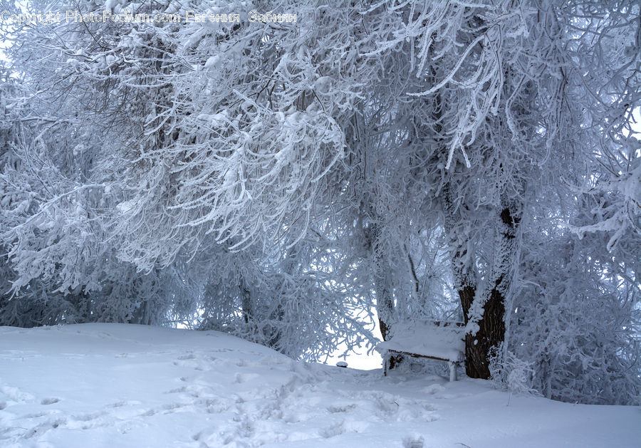 Landscape, Nature, Scenery, Ice, Outdoors, Snow