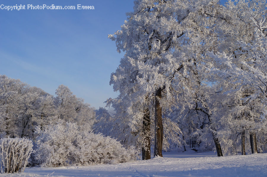 Frost, Ice, Outdoors, Snow, Landscape, Nature, Scenery
