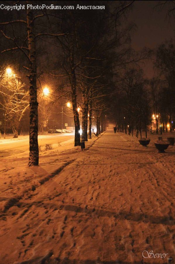 Blizzard, Outdoors, Snow, Weather, Winter