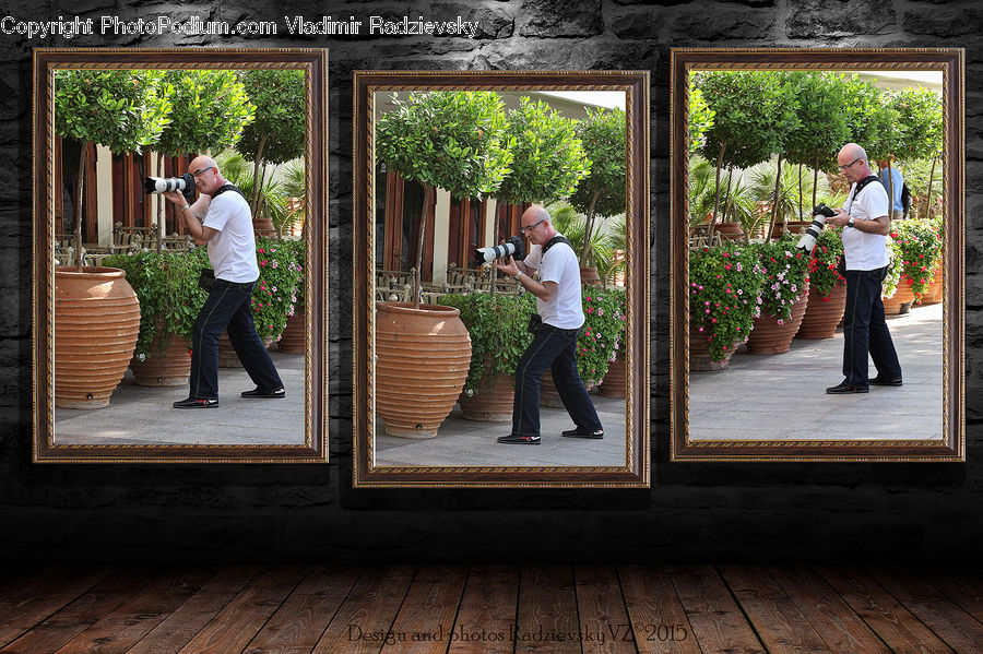 People, Person, Human, Bus Stop, Plant, Potted Plant, Bonsai