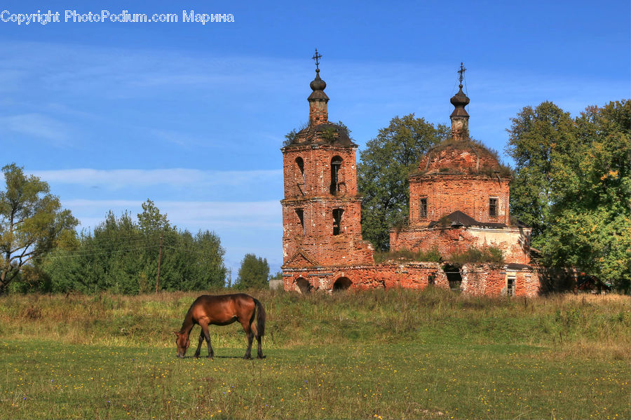 Architecture, Castle, Fort, Countryside, Grassland, Grazing, Outdoors