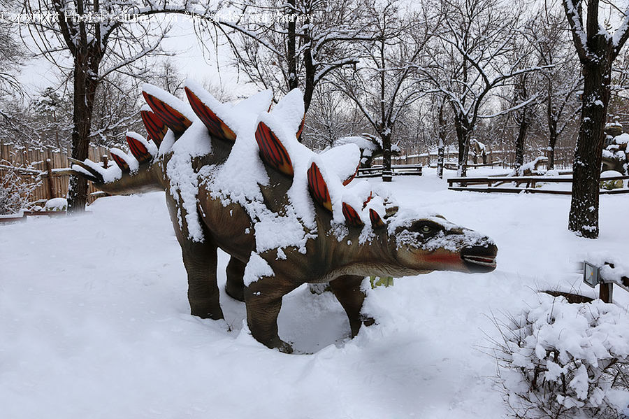 Ice, Outdoors, Snow, Alligator, Crocodile, Reptile