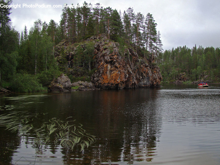 Outdoors, Ripple, Water, Lake, Conifer, Fir, Plant
