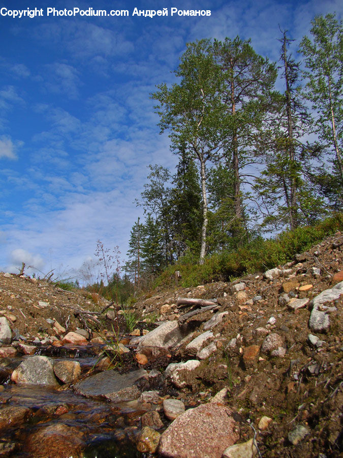 Creek, Outdoors, River, Water, Wilderness, Rubble, Rock