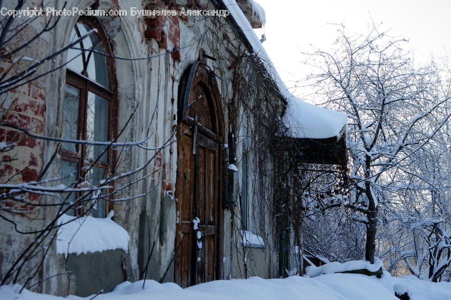 Ice, Outdoors, Snow, Building, Cottage, Housing, Forest