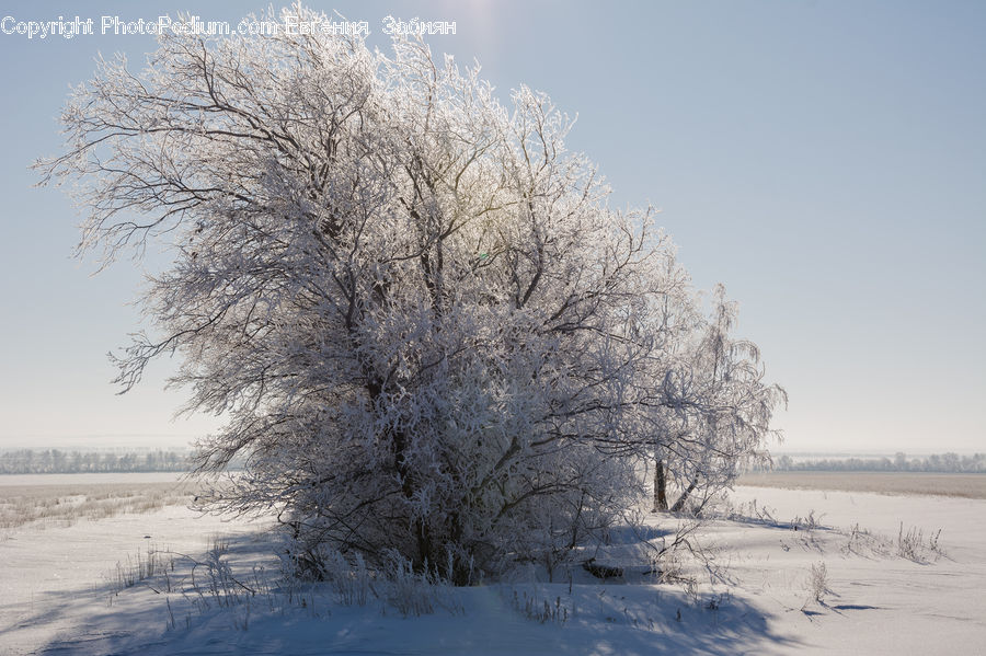 Frost, Ice, Outdoors, Snow, Landscape, Nature, Scenery