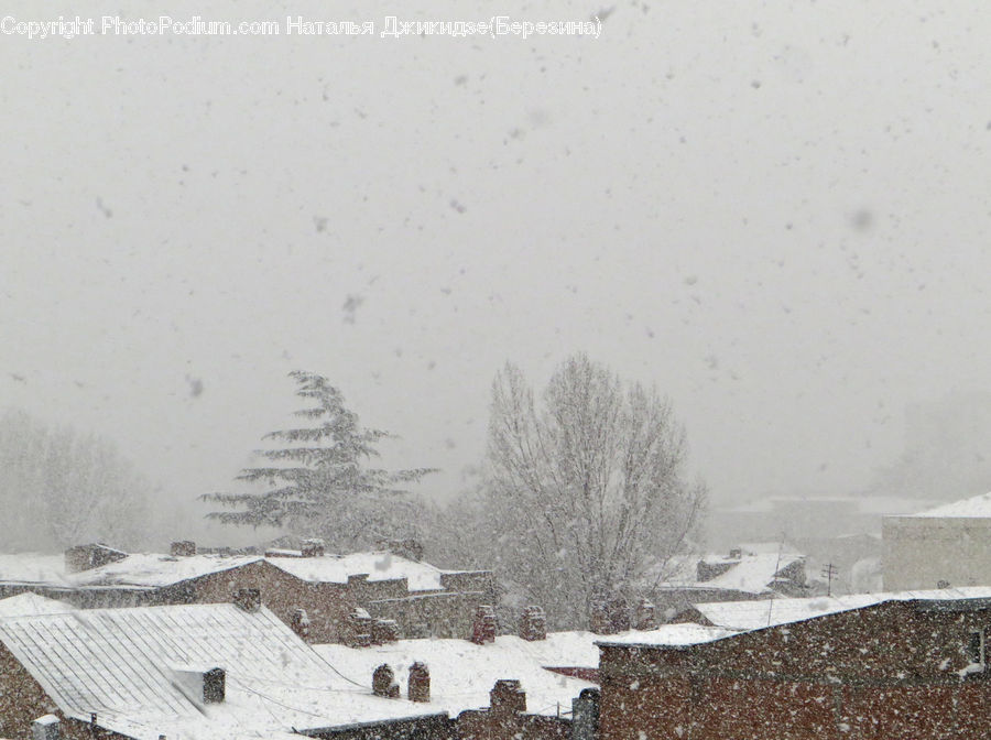 Blizzard, Outdoors, Snow, Weather, Winter, Landscape, Nature