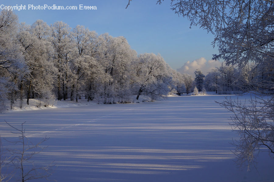 Frost, Ice, Outdoors, Snow, Landscape, Nature, Scenery
