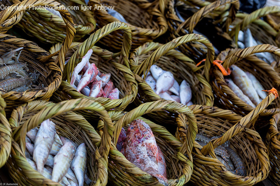 Wool, Yarn, Bazaar, Market, Produce, Garlic, Plant