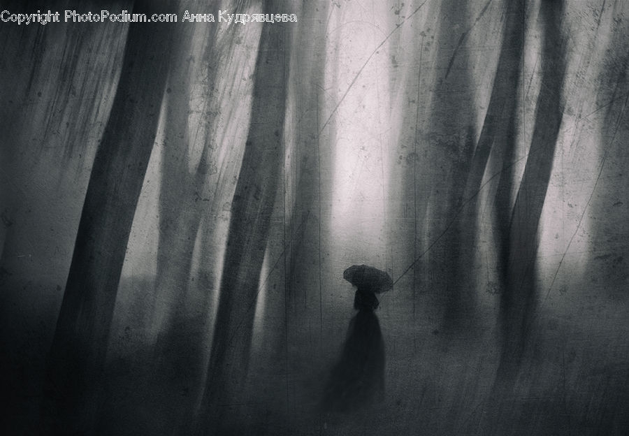 Silhouette, Forest, Vegetation, Wood