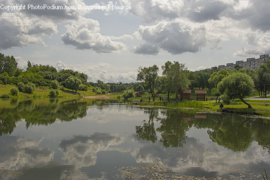 Outdoors, Pond, Water, Cloud, Cumulus, Sky, Park