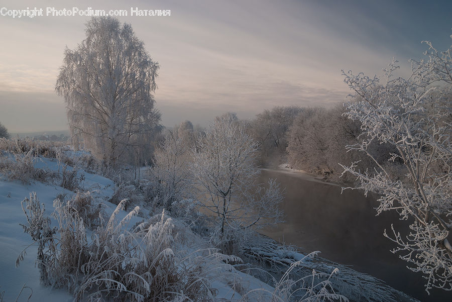 Frost, Ice, Outdoors, Snow, Landscape, Nature, Scenery