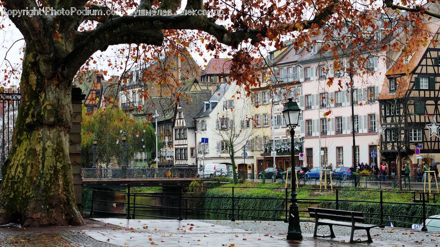 Bench, Downtown, Neighborhood, Town, Building, Housing, Villa