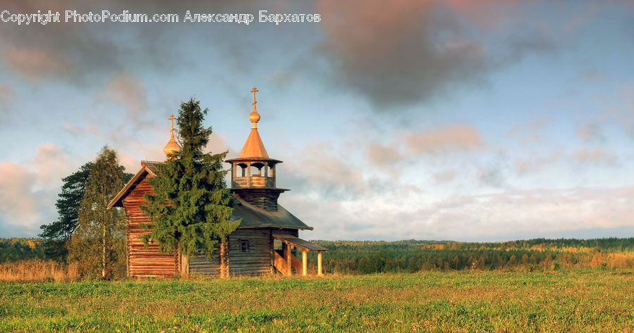 Conifer, Fir, Pine, Spruce, Wood, Architecture, Spire