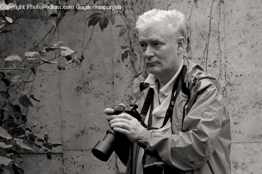 People, Person, Human, Ivy, Plant, Vine, Photographer