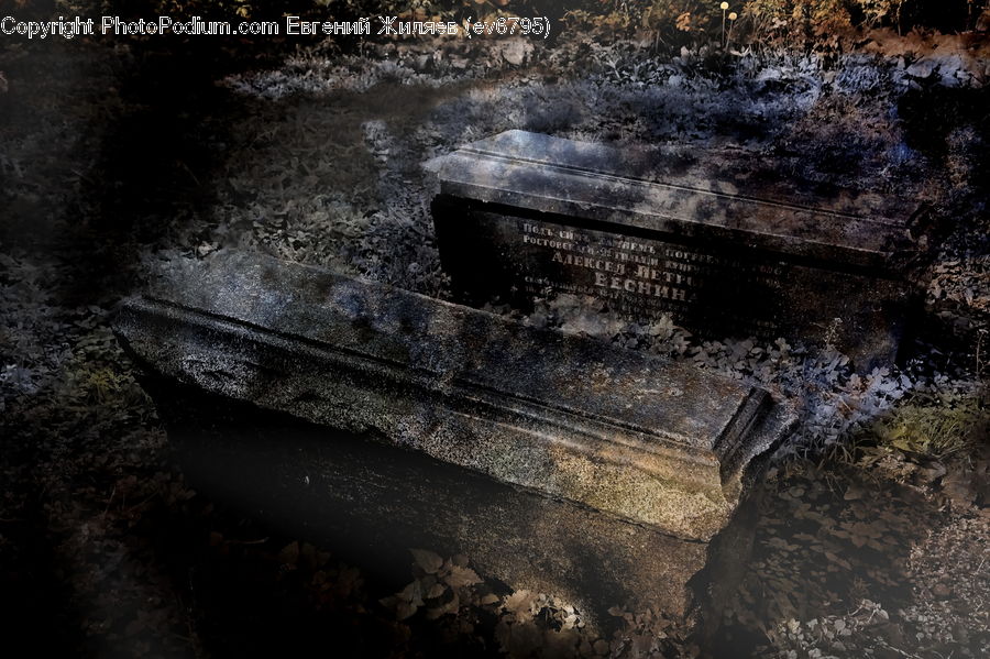 Shipwreck, Land, Marsh, Pond, Swamp, Water, Crypt