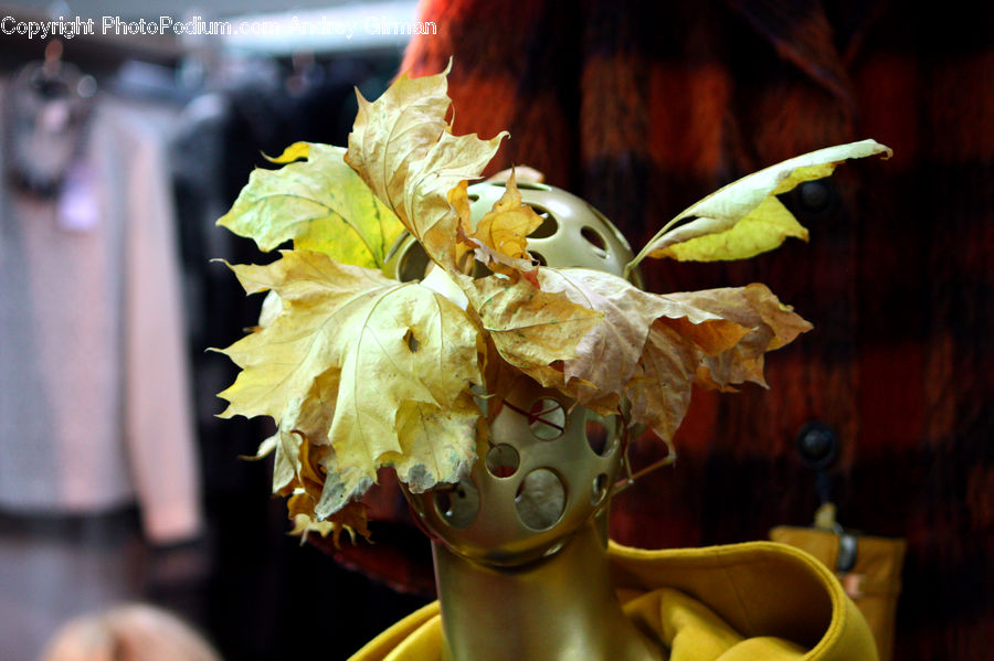 Flora, Flower, Gladiolus, Plant, Figurine, Ivy, Vine