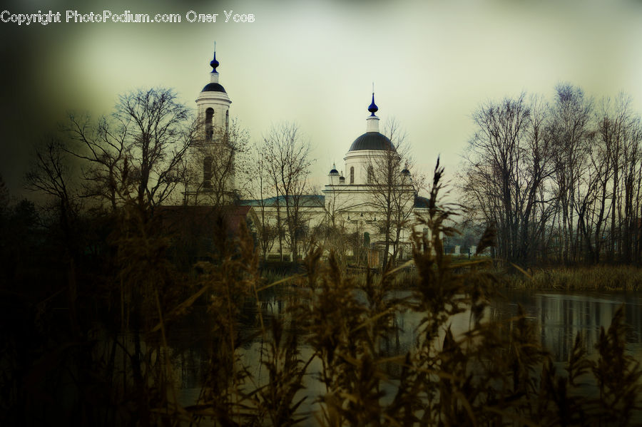 Land, Marsh, Outdoors, Swamp, Water, Architecture, Bell Tower