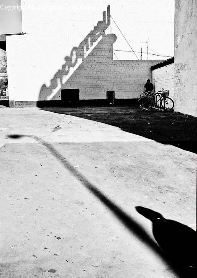 Bicycle, Bike, Vehicle, Asphalt, Tarmac, Brick, Cyclist