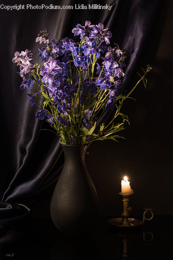 Plant, Potted Plant, Flower, Flower Arrangement, Flower Bouquet, Pot, Pottery