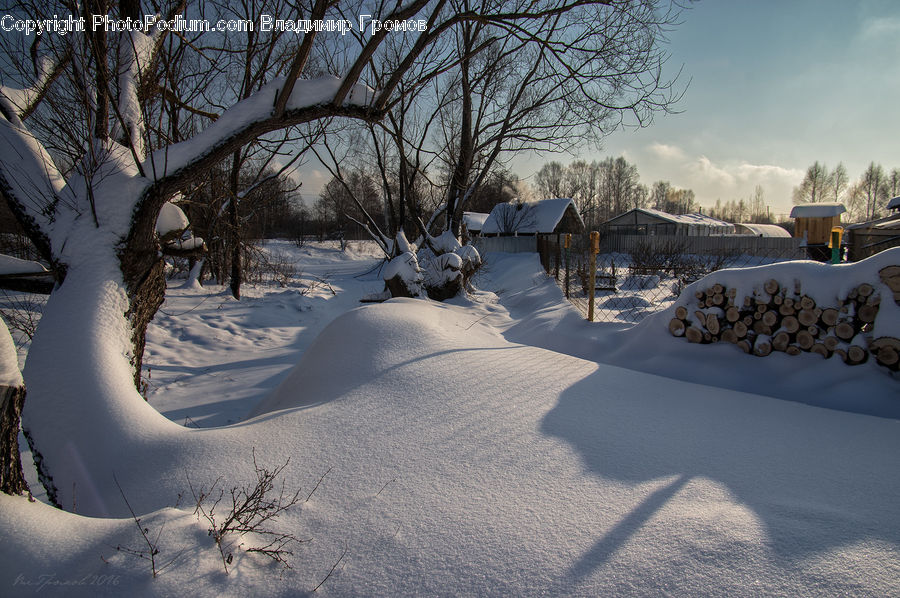 Park, Landscape, Nature, Scenery, Ice, Outdoors, Snow