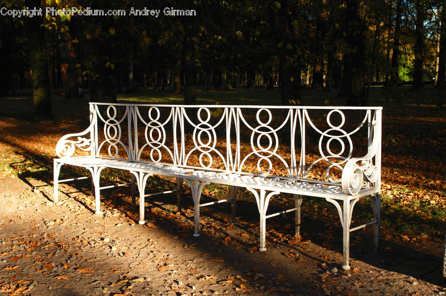 Park Bench, Dining Table, Furniture, Table, Bench, Birch, Tree