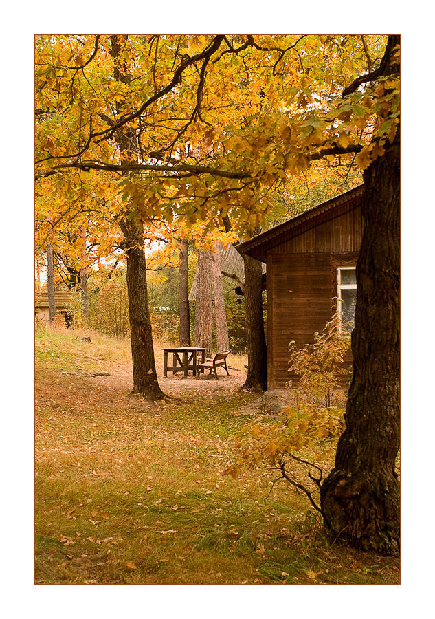 Bench, Outhouse, Shack, Cabin, Hut, Rural, Shelter