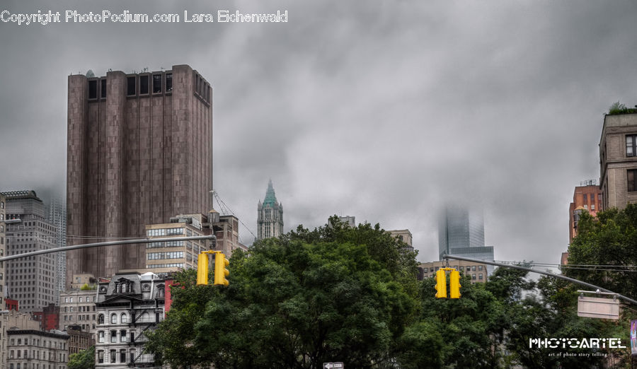 City, Downtown, Plant, Potted Plant, Metropolis, Urban, Architecture