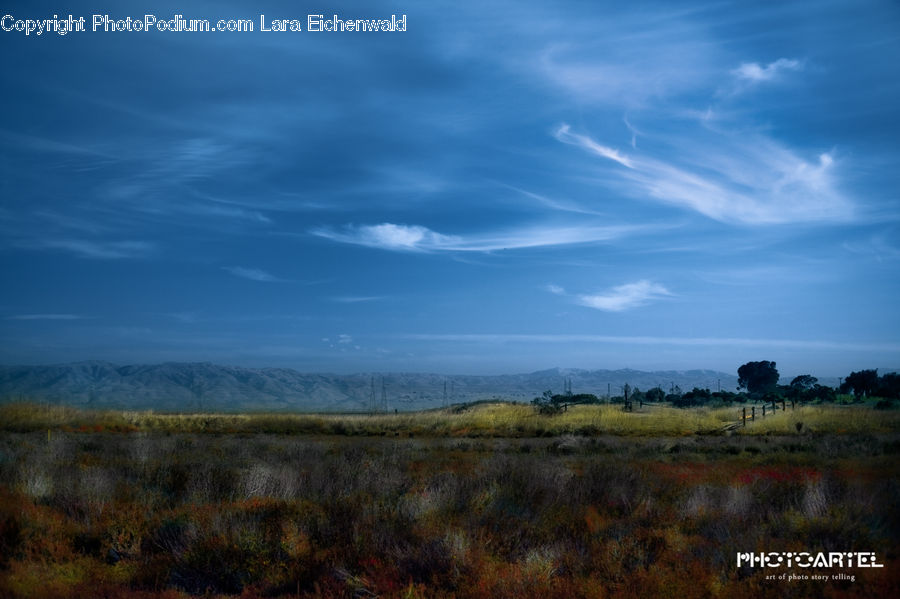 Field, Grass, Grassland, Land, Outdoors, Marsh, Swamp