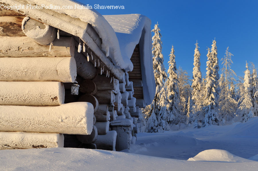 Building, Hut, Log Cabin, Shack, Landscape, Nature, Scenery