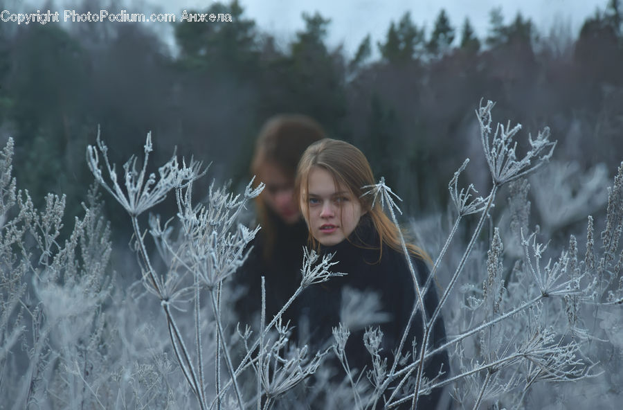 People, Person, Human, Frost, Ice, Outdoors, Snow